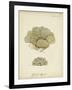 Ecru Coral V-Johann Esper-Framed Art Print