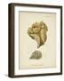 Ecru Coral VII-Johann Esper-Framed Art Print