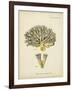 Ecru Coral XI-Johann Esper-Framed Art Print