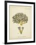 Ecru Coral XI-Johann Esper-Framed Art Print