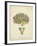 Ecru Coral XI-Johann Esper-Framed Art Print