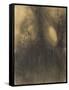 Ecstasy, C.1885-Odilon Redon-Framed Stretched Canvas