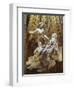 Ecstasy of Saint Teresa-Giovanni Lorenzo Bernini-Framed Art Print