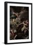 Ecstasy of St. Teresa-Sebastiano Ricci-Framed Giclee Print