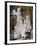 Ecstasy of St. Theresa-Giovanni Lorenzo Bernini-Framed Giclee Print