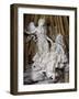 Ecstasy of St. Theresa-Giovanni Lorenzo Bernini-Framed Giclee Print