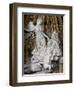 Ecstasy of St. Theresa-Giovanni Lorenzo Bernini-Framed Giclee Print