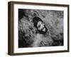 Ecstatic Hippie Probably Bathing in Waterfall at Woodstock Music Festival-Bill Eppridge-Framed Photographic Print