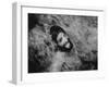 Ecstatic Hippie Probably Bathing in Waterfall at Woodstock Music Festival-Bill Eppridge-Framed Photographic Print