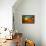 Ectasy II-Bonita Williams Goldberg-Framed Stretched Canvas displayed on a wall