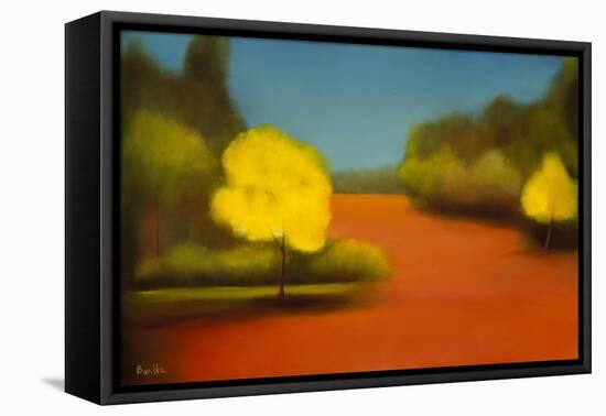 Ectasy II-Bonita Williams Goldberg-Framed Stretched Canvas