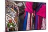 Ecuador, Corpus Christi, Winter solstice festival.-Pete Oxford-Mounted Photographic Print