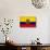 Ecuador Flag Design with Wood Patterning - Flags of the World Series-Philippe Hugonnard-Art Print displayed on a wall