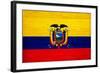 Ecuador Flag Design with Wood Patterning - Flags of the World Series-Philippe Hugonnard-Framed Art Print