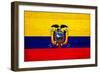 Ecuador Flag Design with Wood Patterning - Flags of the World Series-Philippe Hugonnard-Framed Premium Giclee Print