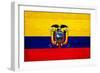 Ecuador Flag Design with Wood Patterning - Flags of the World Series-Philippe Hugonnard-Framed Premium Giclee Print