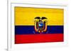 Ecuador Flag Design with Wood Patterning - Flags of the World Series-Philippe Hugonnard-Framed Art Print