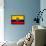 Ecuador Flag Design with Wood Patterning - Flags of the World Series-Philippe Hugonnard-Framed Stretched Canvas displayed on a wall
