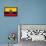 Ecuador Flag Design with Wood Patterning - Flags of the World Series-Philippe Hugonnard-Framed Stretched Canvas displayed on a wall