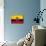 Ecuador Flag Design with Wood Patterning - Flags of the World Series-Philippe Hugonnard-Mounted Art Print displayed on a wall