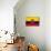 Ecuador Flag Design with Wood Patterning - Flags of the World Series-Philippe Hugonnard-Mounted Art Print displayed on a wall