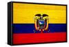 Ecuador Flag Design with Wood Patterning - Flags of the World Series-Philippe Hugonnard-Framed Stretched Canvas