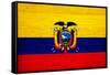 Ecuador Flag Design with Wood Patterning - Flags of the World Series-Philippe Hugonnard-Framed Stretched Canvas