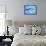 Ecuador, Galapagos, a Male and Female Frigate Bird Soar Overhead-Niels Van Gijn-Framed Stretched Canvas displayed on a wall