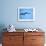 Ecuador, Galapagos, a Male and Female Frigate Bird Soar Overhead-Niels Van Gijn-Framed Photographic Print displayed on a wall