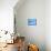 Ecuador, Galapagos, a Male and Female Frigate Bird Soar Overhead-Niels Van Gijn-Mounted Photographic Print displayed on a wall