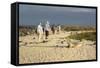 Ecuador, Galapagos, Isabela Island. Galapagos Giant Tortoise-Kevin Oke-Framed Stretched Canvas