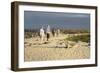 Ecuador, Galapagos, Isabela Island. Galapagos Giant Tortoise-Kevin Oke-Framed Photographic Print