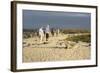 Ecuador, Galapagos, Isabela Island. Galapagos Giant Tortoise-Kevin Oke-Framed Photographic Print