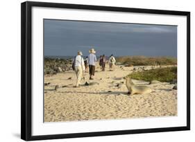 Ecuador, Galapagos, Isabela Island. Galapagos Giant Tortoise-Kevin Oke-Framed Photographic Print