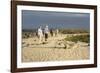 Ecuador, Galapagos, Isabela Island. Galapagos Giant Tortoise-Kevin Oke-Framed Photographic Print