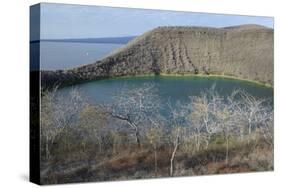 Ecuador, Galapagos, Isabela Island. Tagus Cove. Darwin Lake in Fall-Kevin Oke-Stretched Canvas