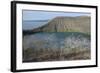 Ecuador, Galapagos, Isabela Island. Tagus Cove. Darwin Lake in Fall-Kevin Oke-Framed Photographic Print