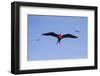 Ecuador, Galapagos Islands, Genovesa, Darwin Bay Beach-Ellen Goff-Framed Photographic Print