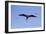 Ecuador, Galapagos Islands, Genovesa, Darwin Bay Beach-Ellen Goff-Framed Photographic Print