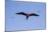 Ecuador, Galapagos Islands, Genovesa, Darwin Bay Beach-Ellen Goff-Mounted Photographic Print