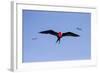 Ecuador, Galapagos Islands, Genovesa, Darwin Bay Beach-Ellen Goff-Framed Photographic Print