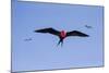 Ecuador, Galapagos Islands, Genovesa, Darwin Bay Beach-Ellen Goff-Mounted Photographic Print