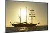 Ecuador, Galapagos Islands, Isabela Island. Ss Mary Anne at Sunset-Kevin Oke-Mounted Photographic Print