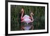 Ecuador, Galapagos Islands, Isabela, Punta Moreno-Ellen Goff-Framed Photographic Print