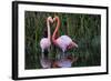 Ecuador, Galapagos Islands, Isabela, Punta Moreno-Ellen Goff-Framed Photographic Print