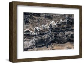 Ecuador, Galapagos Islands, Isabela, Punta Vicente Roca-Ellen Goff-Framed Photographic Print