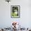 Ecuador, Galapagos Islands, Red-Footed Booby Perching in Mangrove Branches-Ellen Goff-Framed Photographic Print displayed on a wall