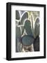 Ecuador, Galapagos Islands, Santa Cruz, Cerro Dragon, Prickly Pear Cactus Detail-Ellen Goff-Framed Photographic Print