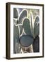 Ecuador, Galapagos Islands, Santa Cruz, Cerro Dragon, Prickly Pear Cactus Detail-Ellen Goff-Framed Photographic Print