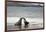 Ecuador, Galapagos Islands, Santiago Island. Galapagos Sea Lion-Kevin Oke-Framed Photographic Print